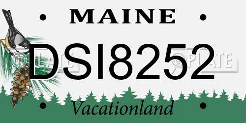 DSI8252 Maine License Plate