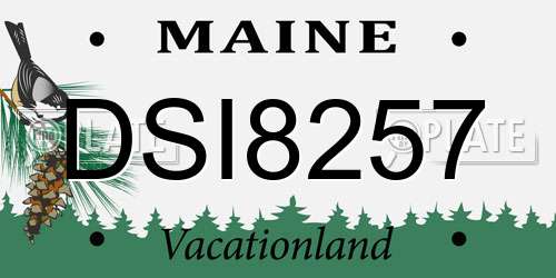 DSI8257 Maine License Plate