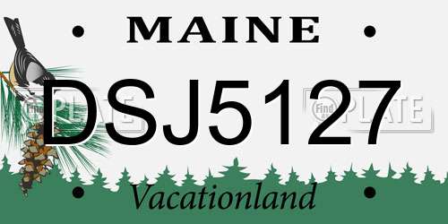 DSJ5127 Maine License Plate