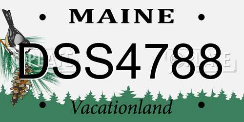 DSS4788 Maine License Plate