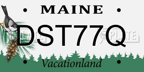 DST77Q Maine License Plate
