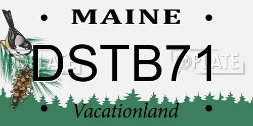 DSTB71 Maine License Plate
