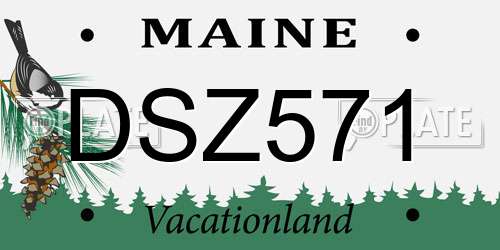 DSZ571 Maine License Plate