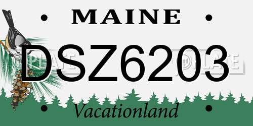 DSZ6203 Maine License Plate