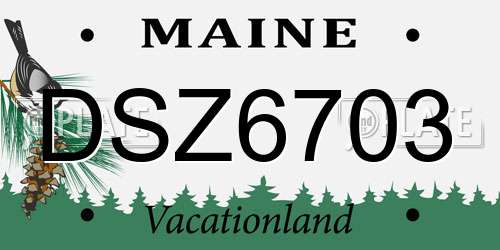 DSZ6703 Maine License Plate