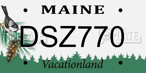 DSZ770 Maine License Plate