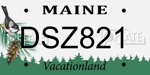 DSZ821 Maine License Plate