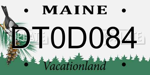 DT0D084 Maine License Plate
