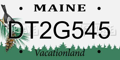 DT2G545 Maine License Plate