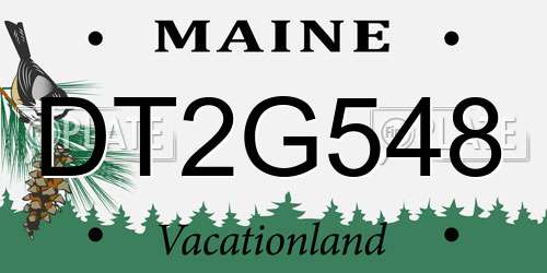 DT2G548 Maine License Plate