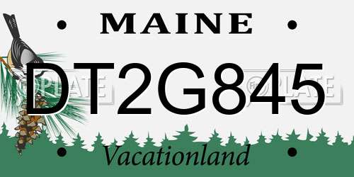 DT2G845 Maine License Plate