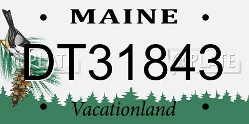 DT31843 Maine License Plate