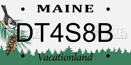 DT4S8B Maine License Plate
