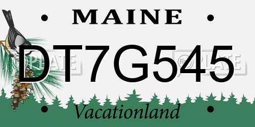 DT7G545 Maine License Plate