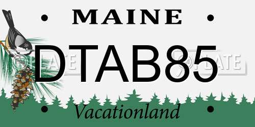 DTAB85 Maine License Plate