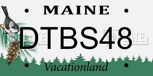 DTBS48 Maine License Plate