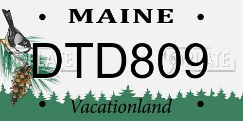 DTD809 Maine License Plate