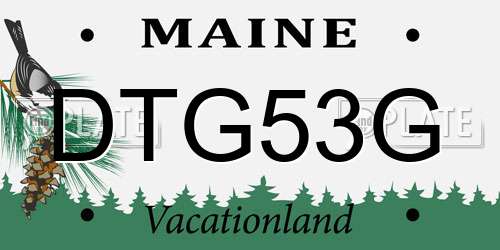 DTG53G Maine License Plate
