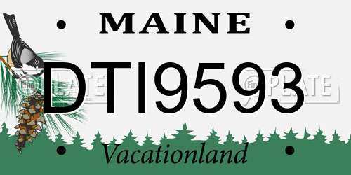 DTI9593 Maine License Plate