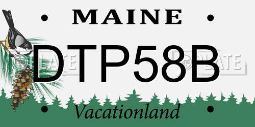 DTP58B Maine License Plate