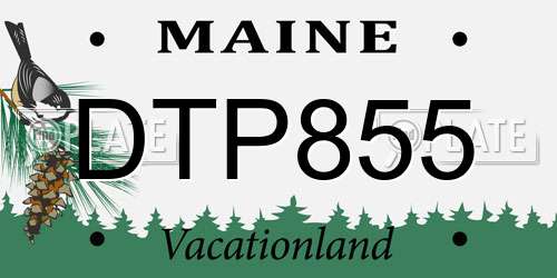 DTP855 Maine License Plate