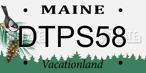DTPS58 Maine License Plate