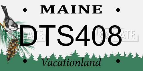 DTS408 Maine License Plate