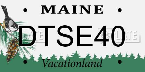 DTSE40 Maine License Plate