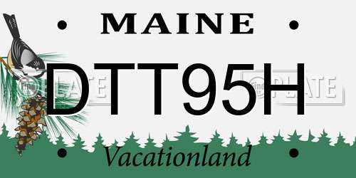 DTT95H Maine License Plate