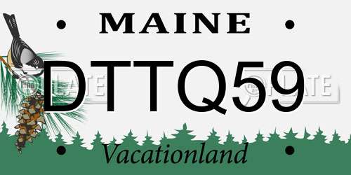 DTTQ59 Maine License Plate
