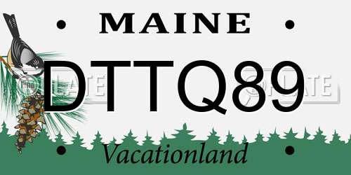 DTTQ89 Maine License Plate