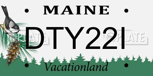 DTY22I Maine License Plate