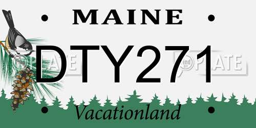 DTY271 Maine License Plate