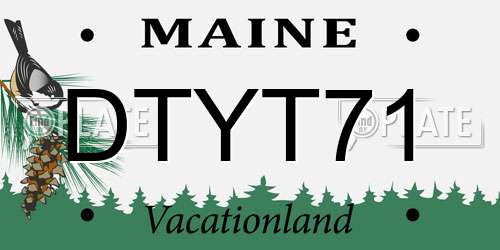 DTYT71 Maine License Plate