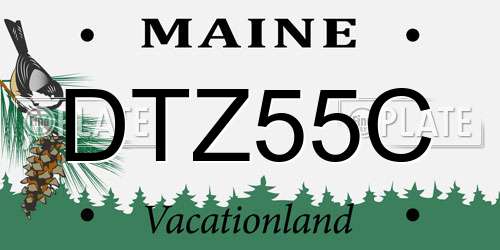 DTZ55C Maine License Plate