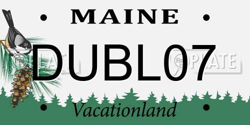 DUBL07 Maine License Plate