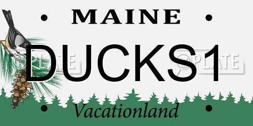 DUCKS1 Maine License Plate