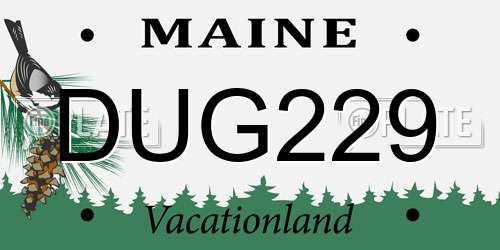 DUG229 Maine License Plate