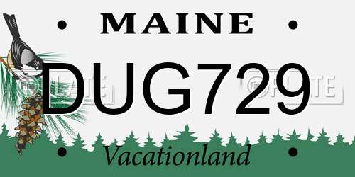 DUG729 Maine License Plate