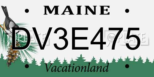 DV3E475 Maine License Plate