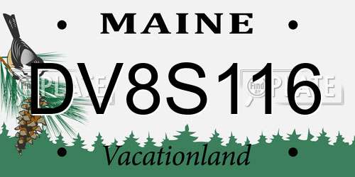 DV8S116 Maine License Plate