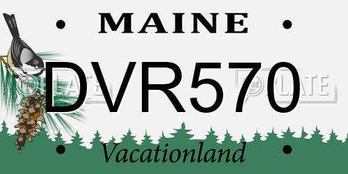 DVR570 Maine License Plate
