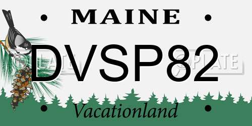 DVSP82 Maine License Plate