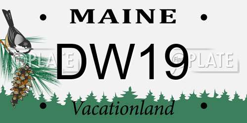 DW19 Maine License Plate