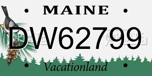 DW62799 Maine License Plate