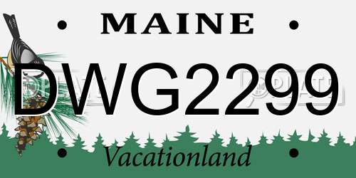DWG2299 Maine License Plate