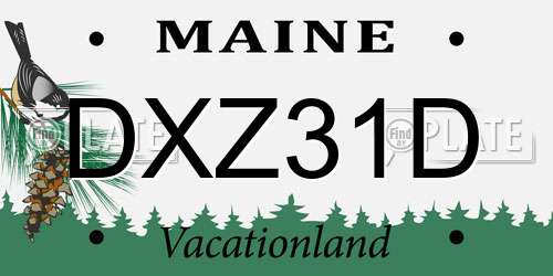 DXZ31D Maine License Plate