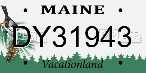 DY31943 Maine License Plate