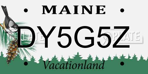 DY5G5Z Maine License Plate