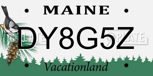 DY8G5Z Maine License Plate